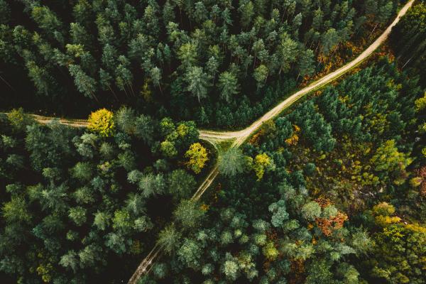 Ecological transition planning 